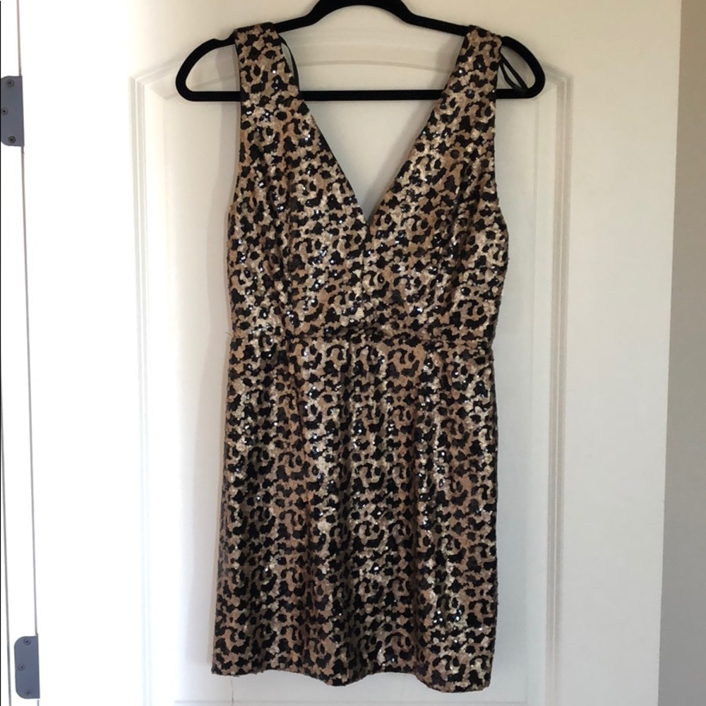 Beautiful sequin dress!